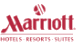 Client Logo 16